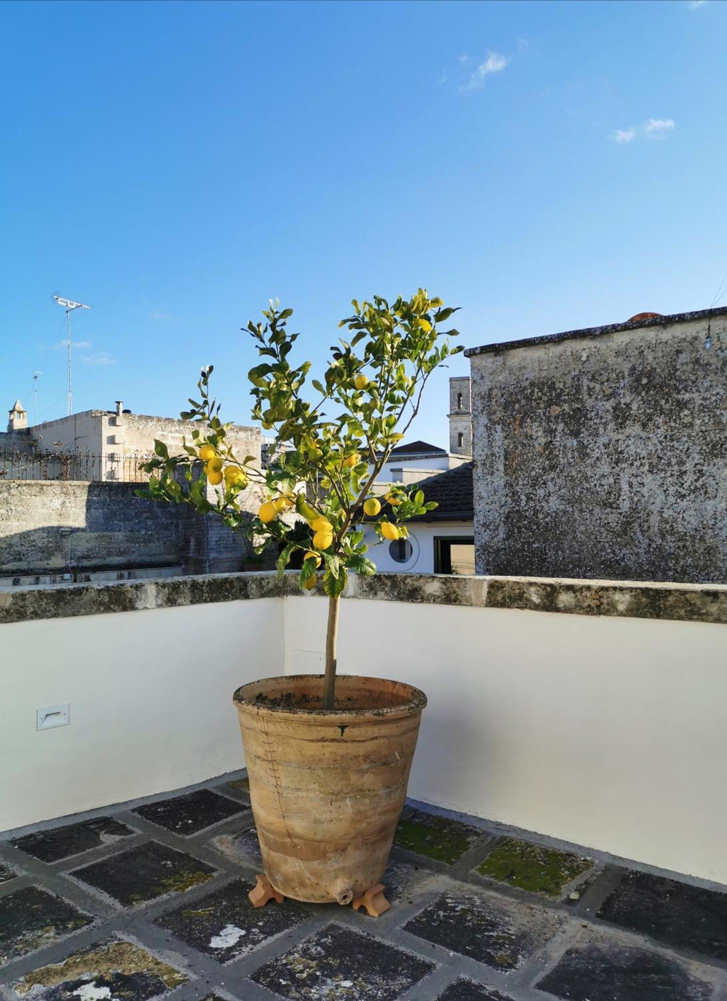 Coniger 4 Casa Vacanze In Centro Lecce Con Wi-Fi E Smart Tv Luaran gambar